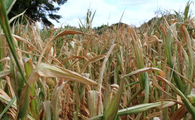 All Sun and No Rain?